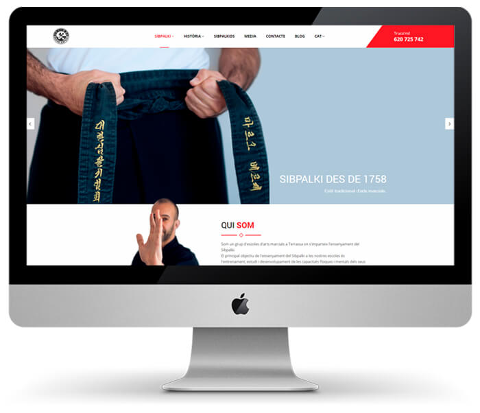 diseño paginas web